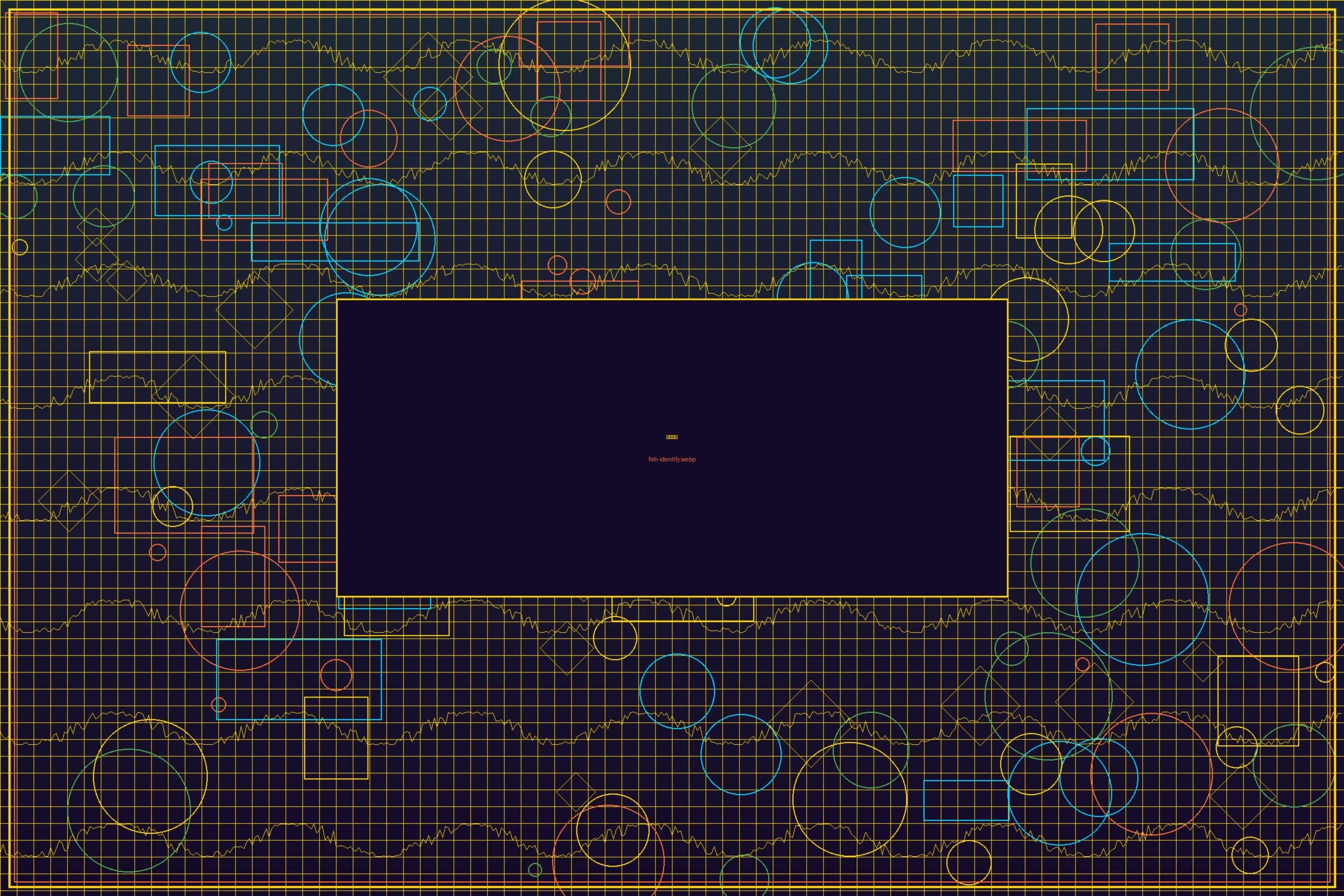 博鱼体育基础鱼种识别指南截图